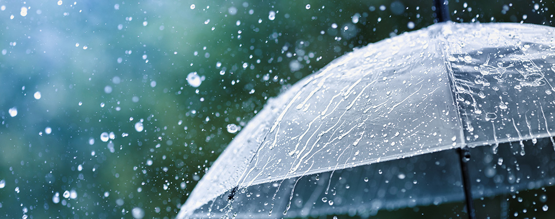 Texas Umbrella Insurance Coverage